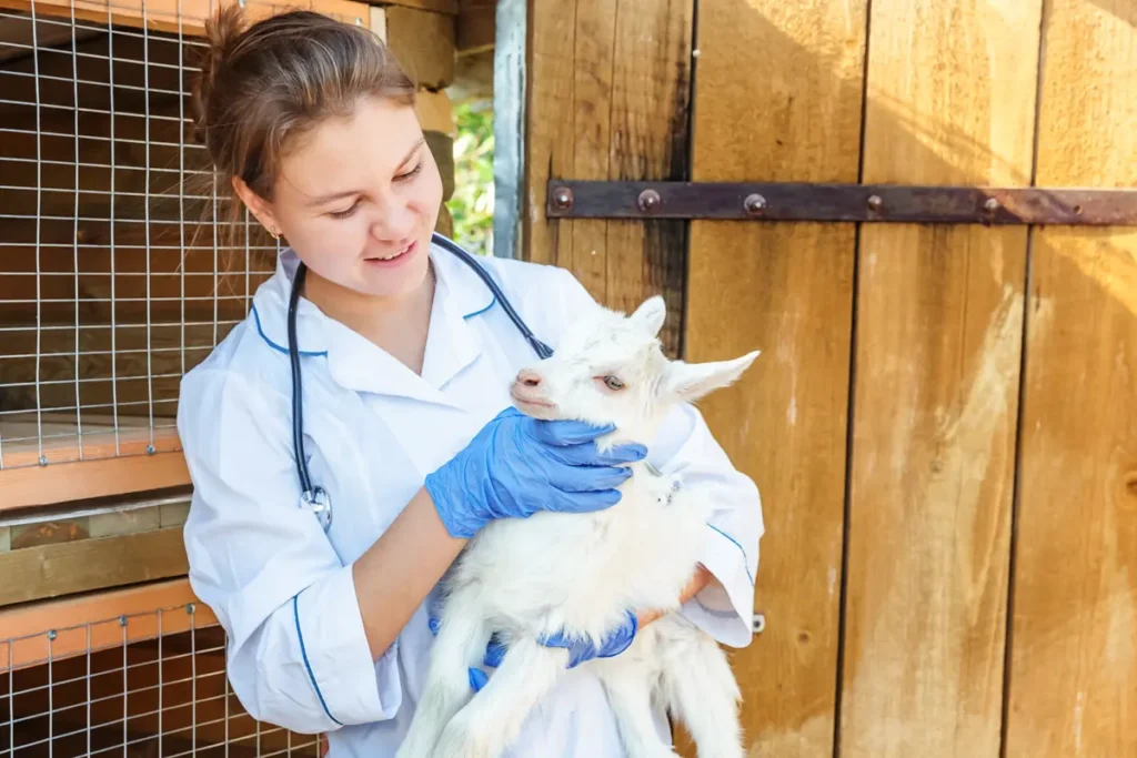 Alternance soigneur animalier : Le parcours complet pour devenir expert du bien-être animal